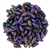 41-36-21495 - Iris Purple