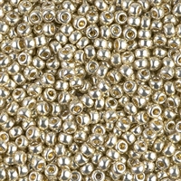 8-4201 - Duracoat Galvanized Silver