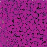 Alabaster Violet Neon - MiniDuo Beads - DU0425125