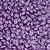 SuperDuo - DU0525012 - Pastel Lilac