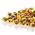 True2 Fire Polished Glass - 2mm Round - Crystal 24kt Gold Plate AB