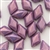 GD8503000-15726 - Chalk Vega Purple