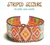 Julie Ann Smith Designs - STRIPED SEIZURE - Odd Count Peyote Bracelet Pattern - 11/0 Delica Bead Kit