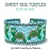 Julie Ann Smith Designs - SWEET SEA TURTLES - Odd Count Peyote Bracelets - 11/0 Delica Bead Kit